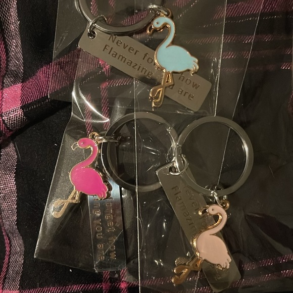 NEW, Flamingo Keychain Never Forget How Flamazing You are, various colors - Picture 4 of 4